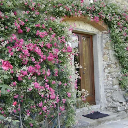 Fattoria Di Pietrabuona *