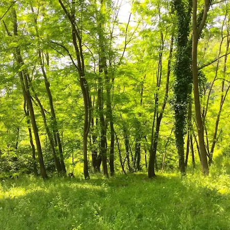 Bauernhof Fattoria Di Pietrabuona *