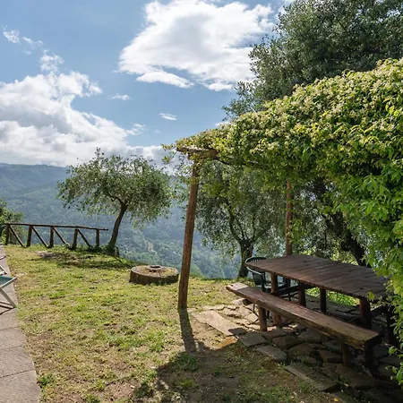 Fattoria Di Pietrabuona * Medicina (Tuscany)