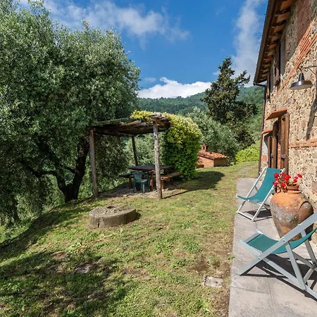 Fattoria Di Pietrabuona Bauernhof Medicina (Tuscany)